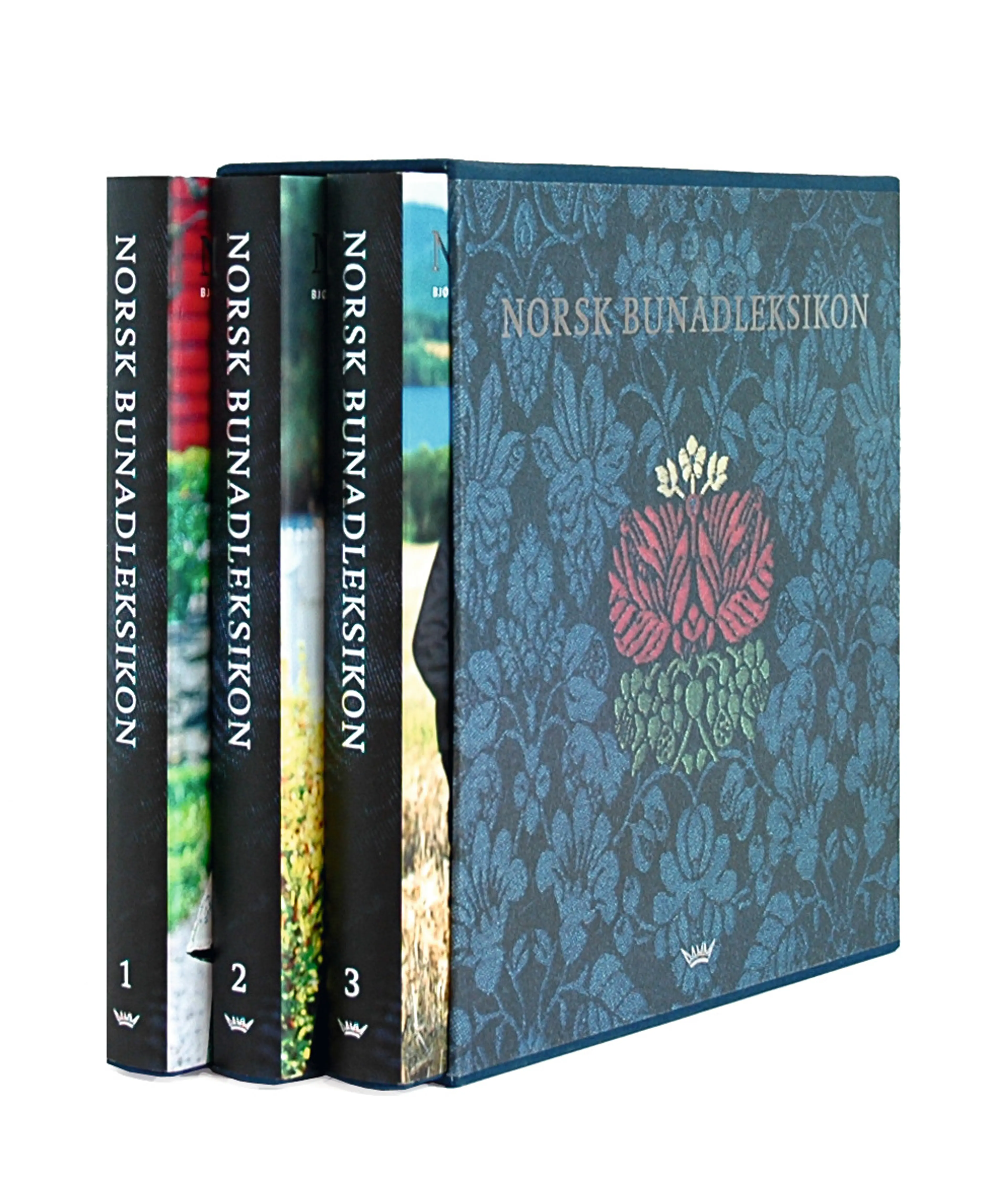 Omslag Norsk bunadleksikon - I til III av Bjørn Sverre Hol Haugen (Ukjent)