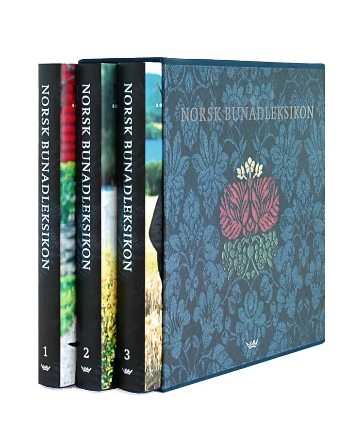 Omslag Norsk bunadleksikon - I til III av Bjørn Sverre Hol Haugen (Ukjent)