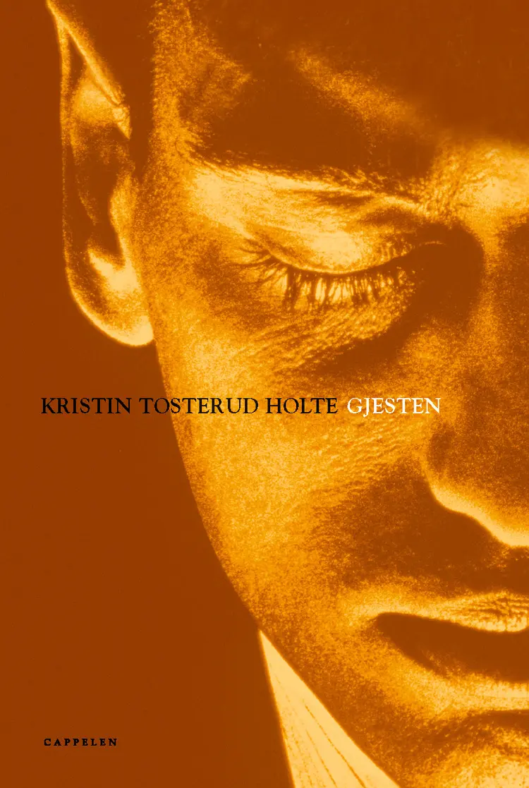 Omslag Gjesten av Kristin Tosterud Holte (Innbundet)