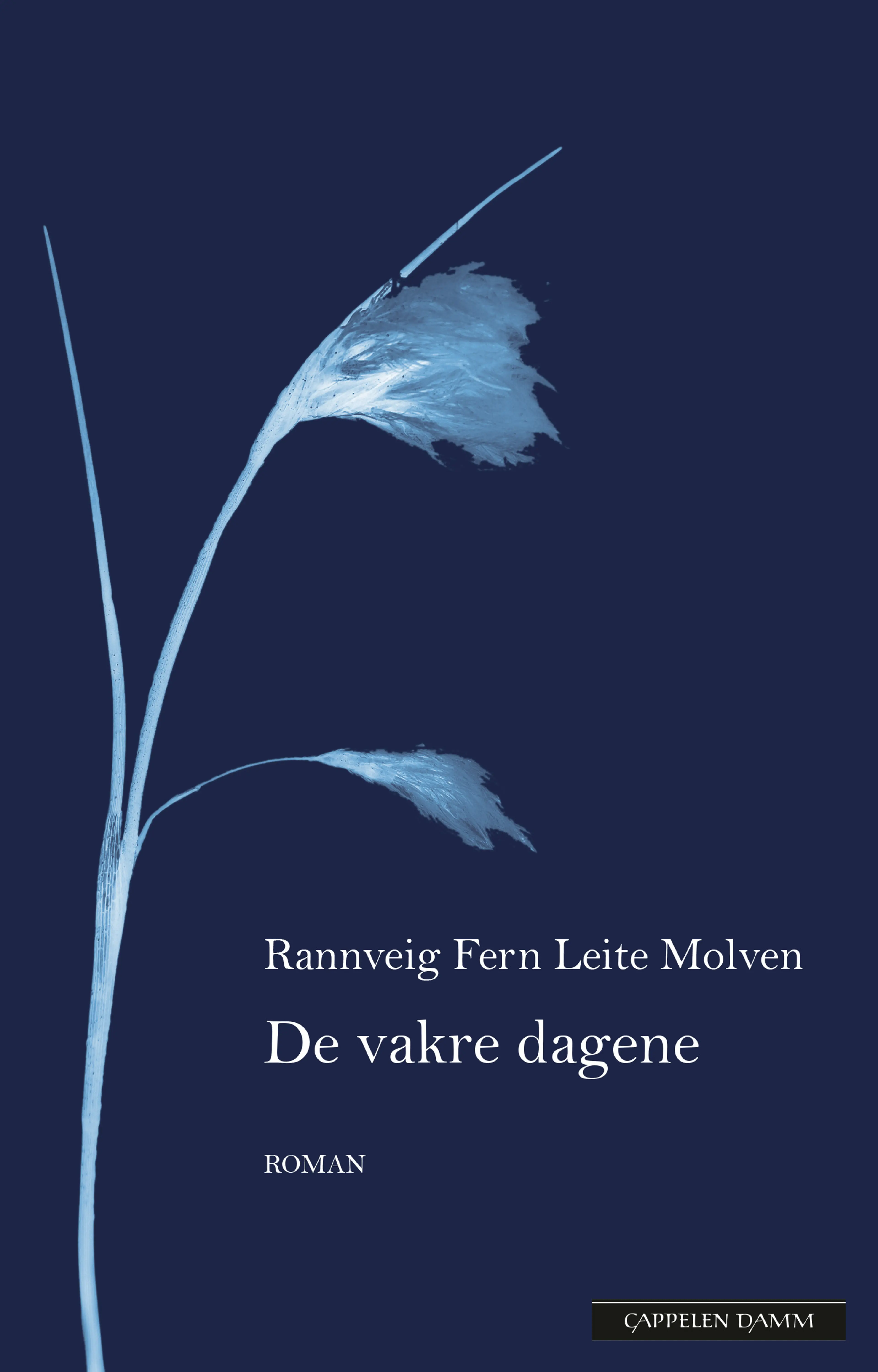 Omslag De vakre dagene av Rannveig Fern Leite Molven (Ebok)