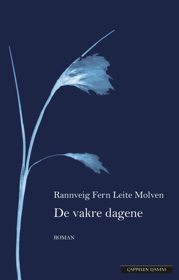 Omslag De vakre dagene av Rannveig Fern Leite Molven (Ebok)