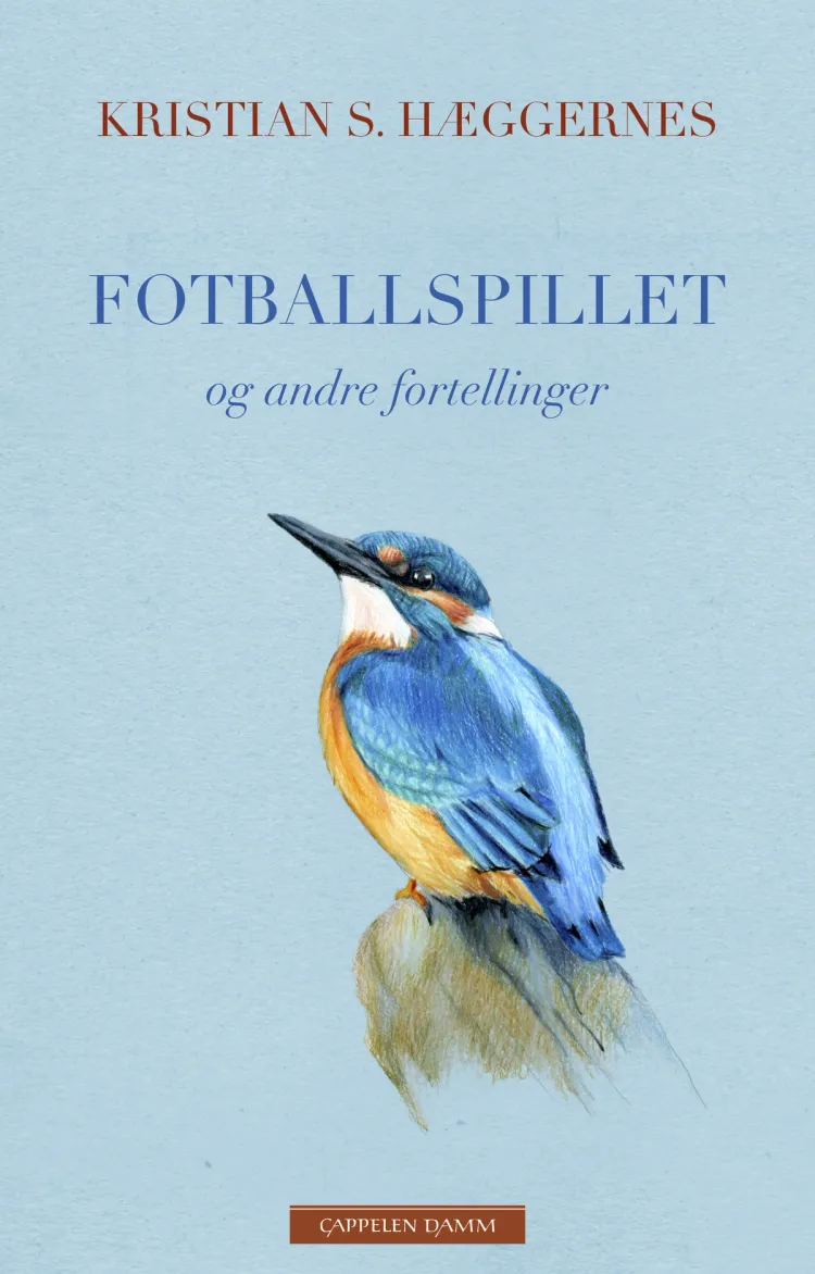 Omslag Fotballspillet og andre fortellinger av Kristian S. Hæggernes (Ebok)