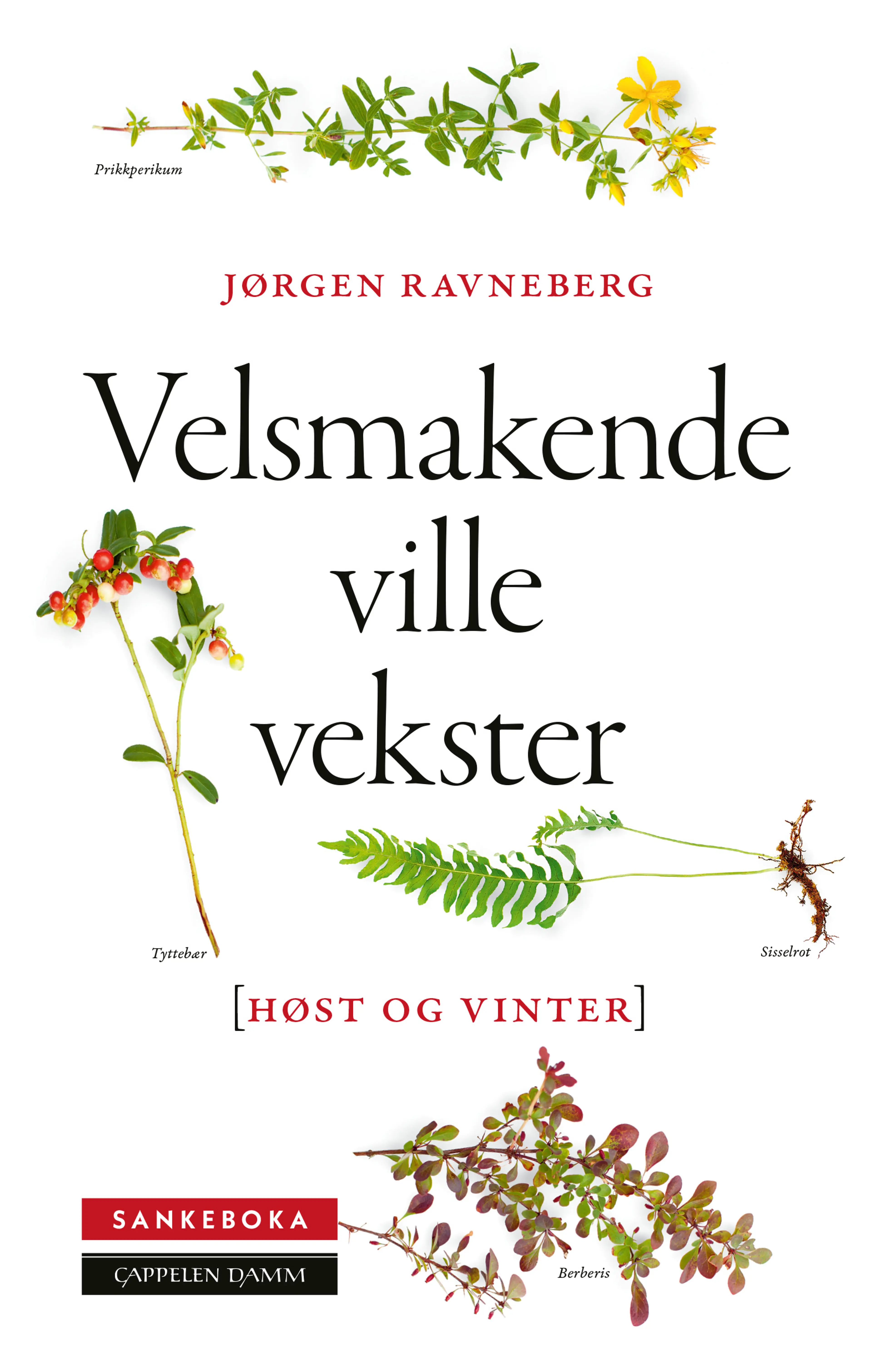 Omslag Sankeboka høst og vinter av Jørgen Ravneberg (Innbundet)