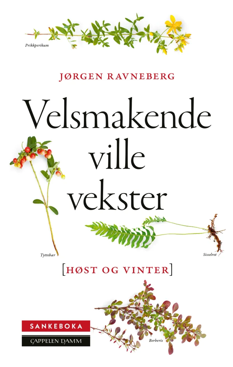 Omslag Sankeboka høst og vinter av Jørgen Ravneberg (Innbundet)