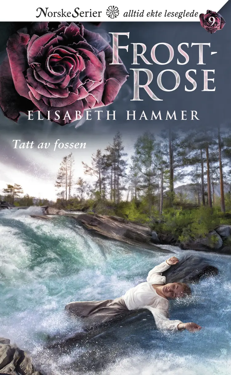 Omslag Tatt av fossen av Elisabeth Hammer (Ebok)