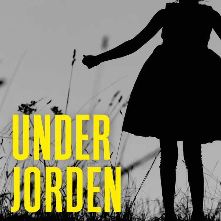 Omslag Under jorden av Julia Heaberlin (Lydbok)