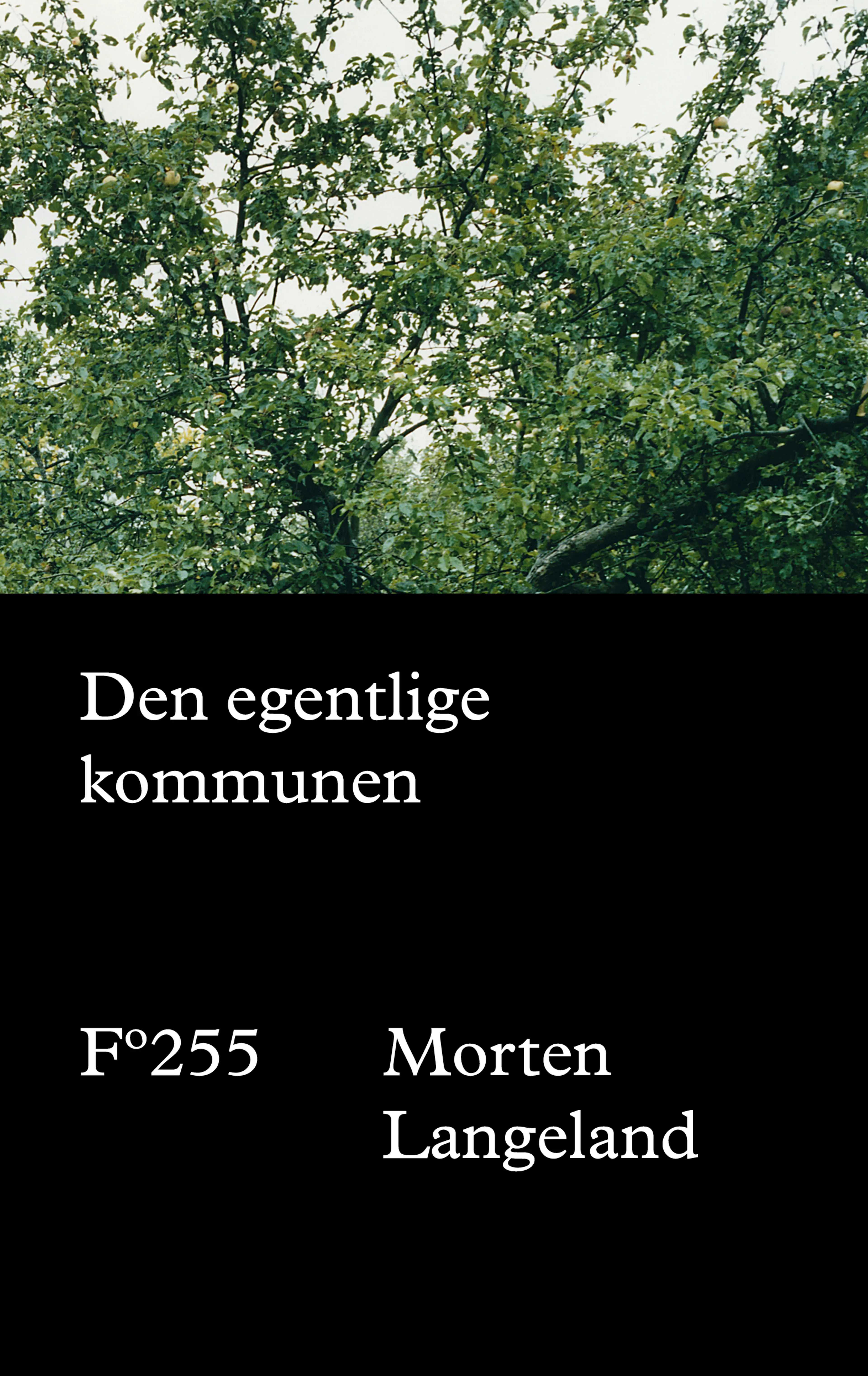 Omslag Den egentlige kommunen av Morten Langeland (Innbundet)