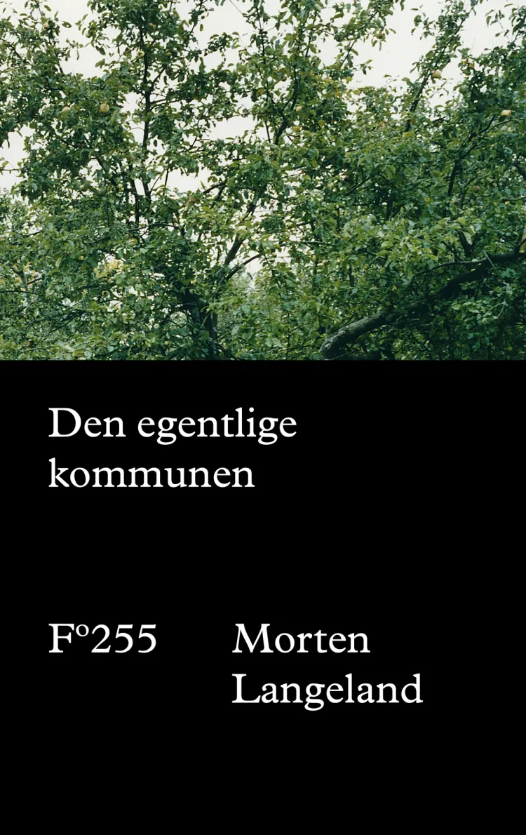 Omslag Den egentlige kommunen av Morten Langeland (Innbundet)
