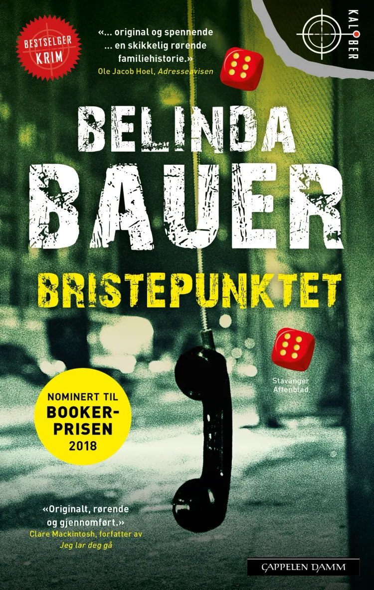 Omslag Bristepunktet av Belinda Bauer (Heftet)
