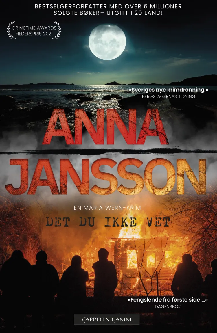 Omslag Det du ikke vet av Anna Jansson (Ebok)