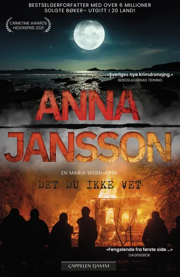 Omslag Det du ikke vet av Anna Jansson (Ebok)