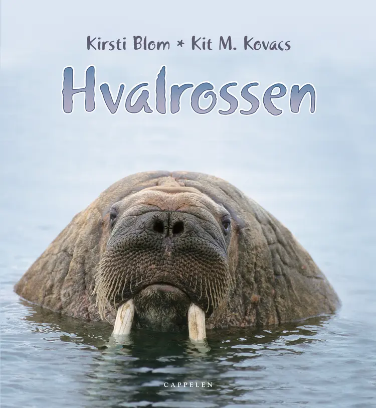 Omslag Hvalrossen av Kirsti Blom og Kit M. Kovacs (Innbundet)