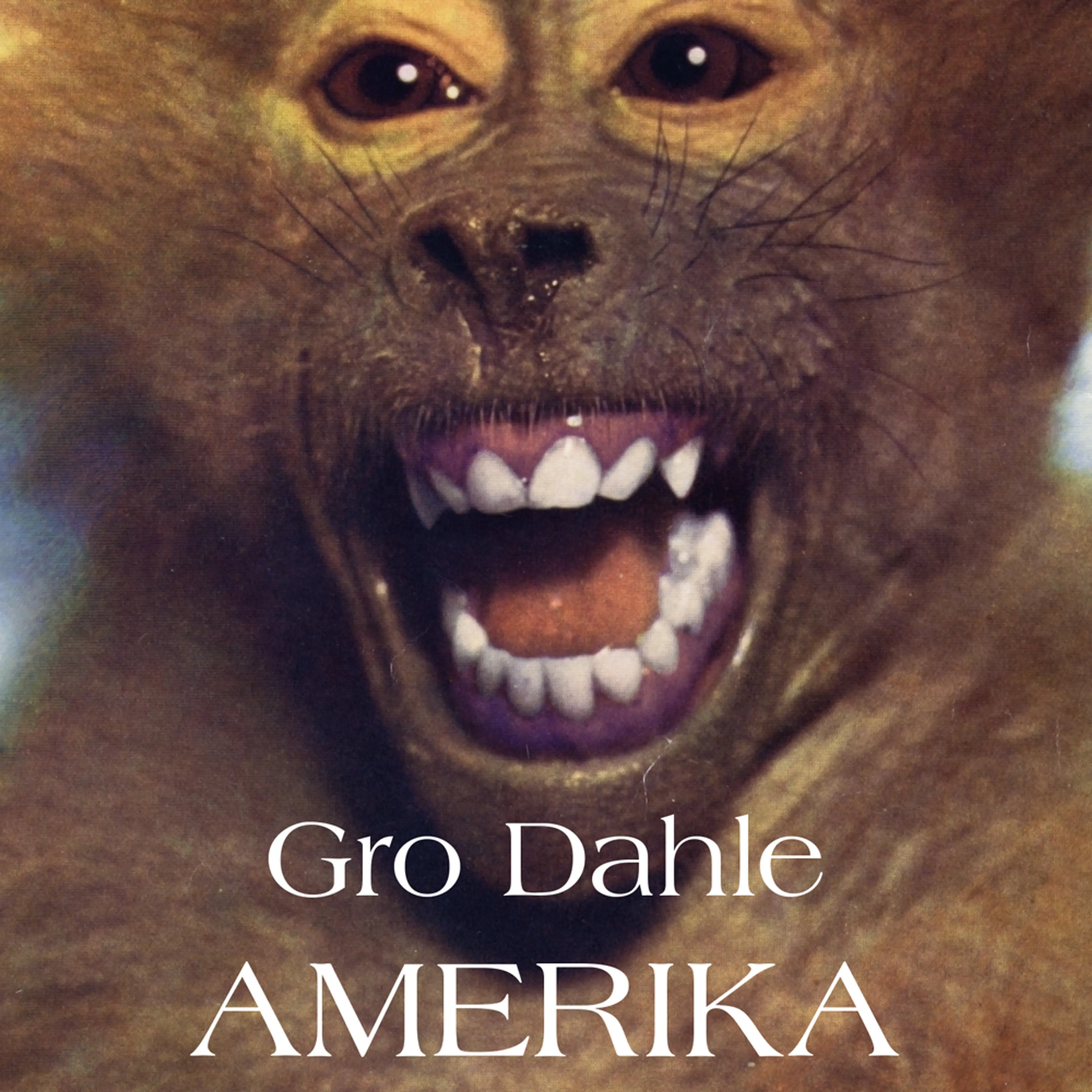 Omslag Amerika av Gro Dahle (Lydbok)