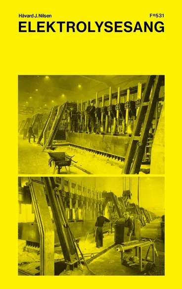 Omslag Elektrolysesang av Håvard J. Nilsen (Innbundet)