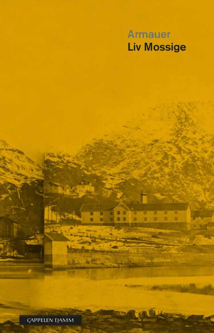 Omslag Armauer av Liv Mossige (Ebok)