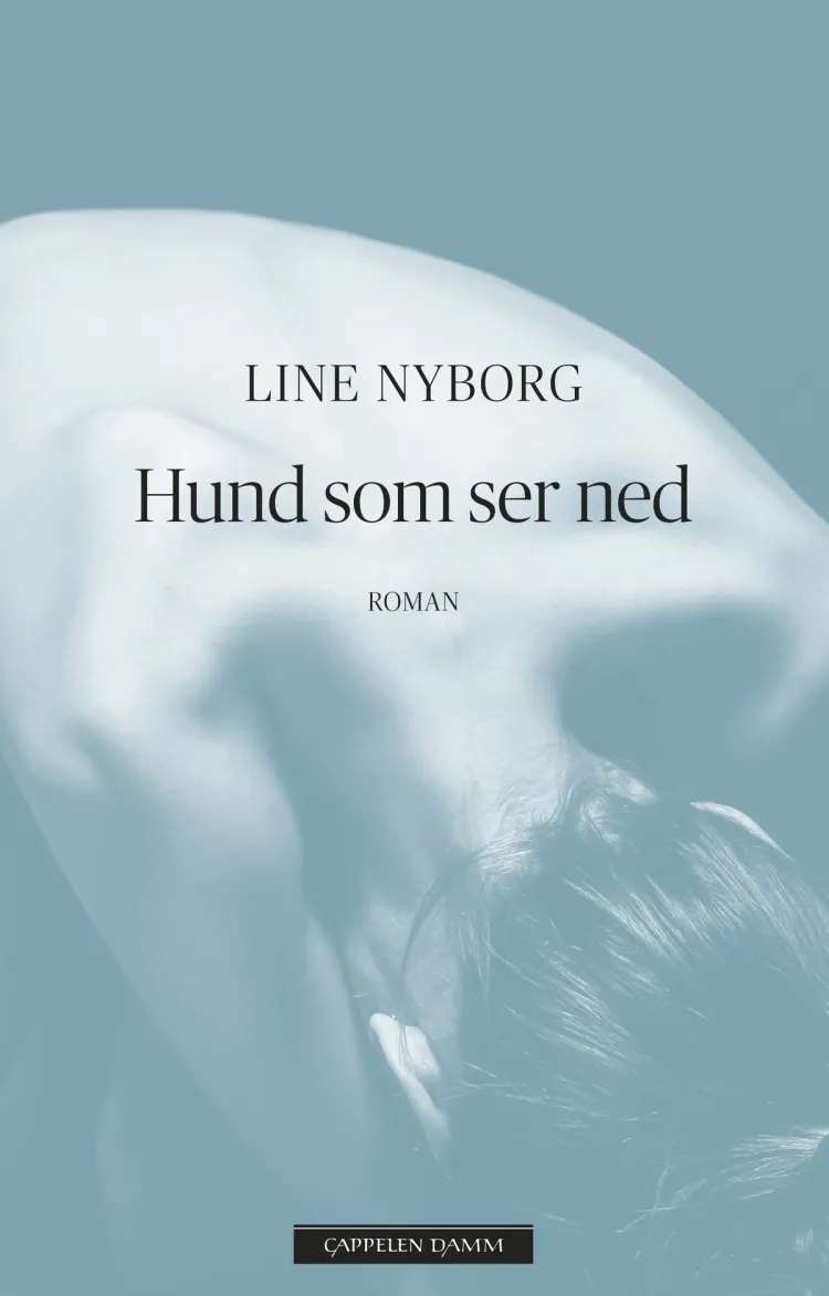 Omslag Hund som ser ned av Line Nyborg (Innbundet)