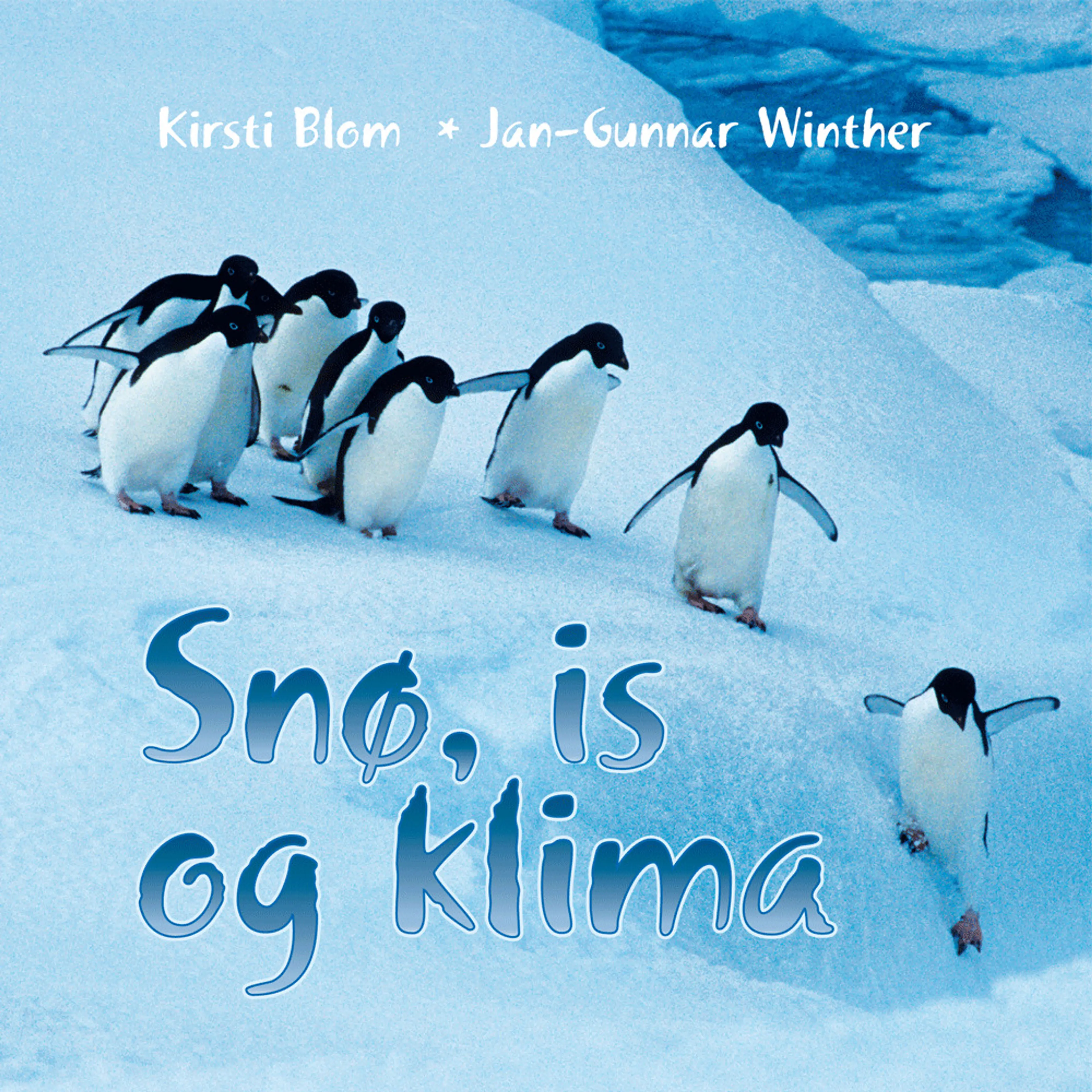Omslag Snø, is og klima av Kirsti Blom og Jan-Gunnar Winther (Lydbok)