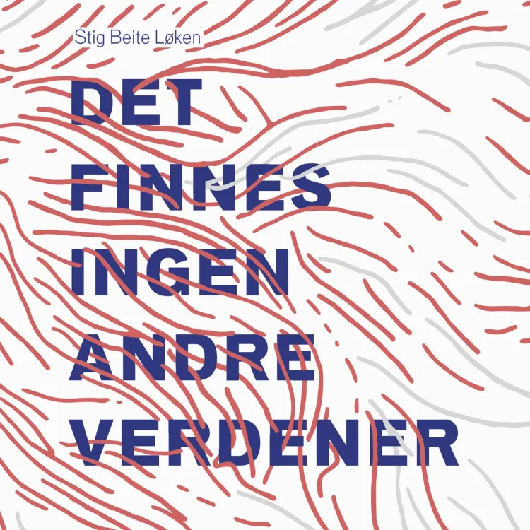 Omslag Det finnes ingen andre verdener av Stig Beite Løken (Lydbok)
