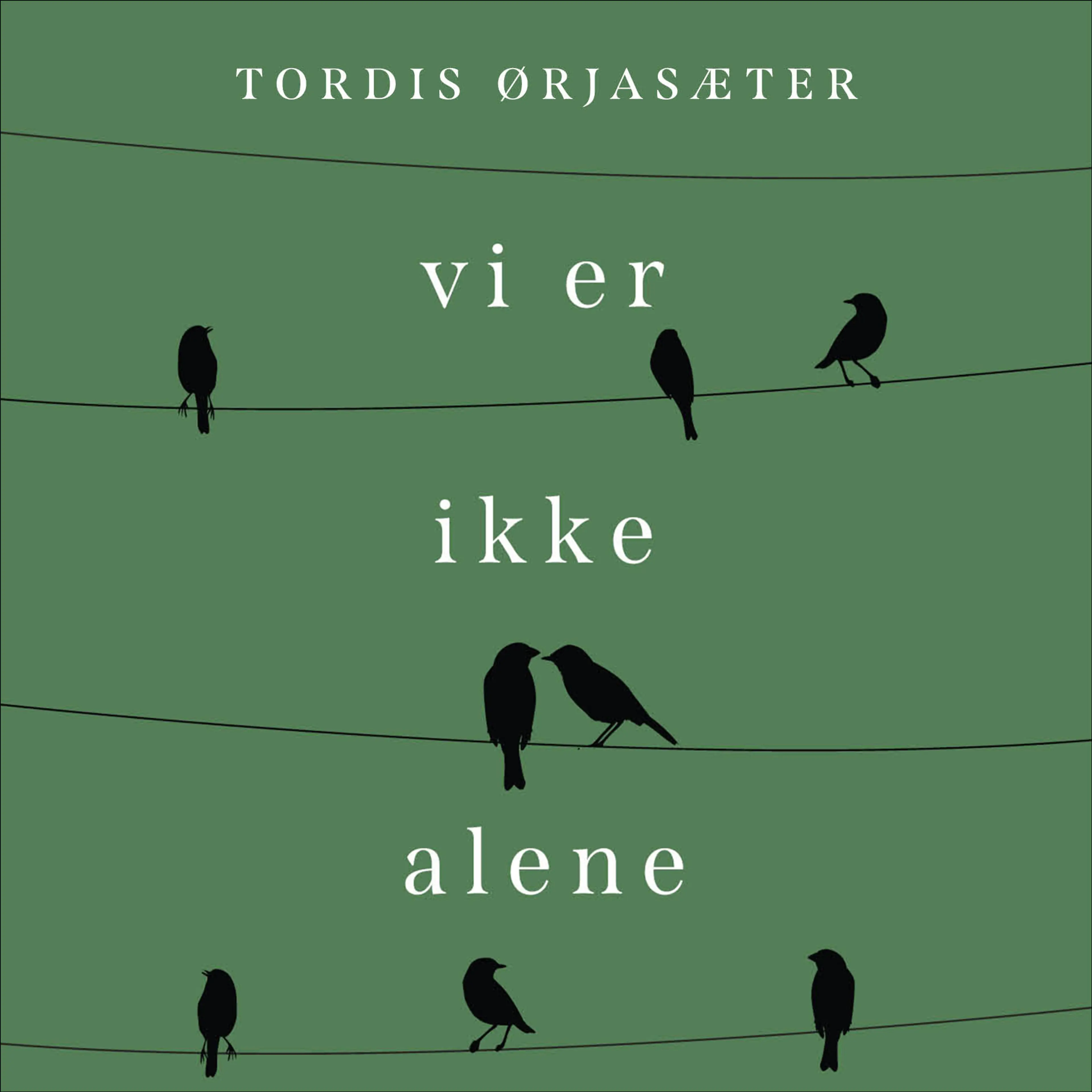 Omslag Vi er ikke alene - En personlig historie om annerledesbarnet i litteraturen av Tordis Ørjasæter (Lydbok)