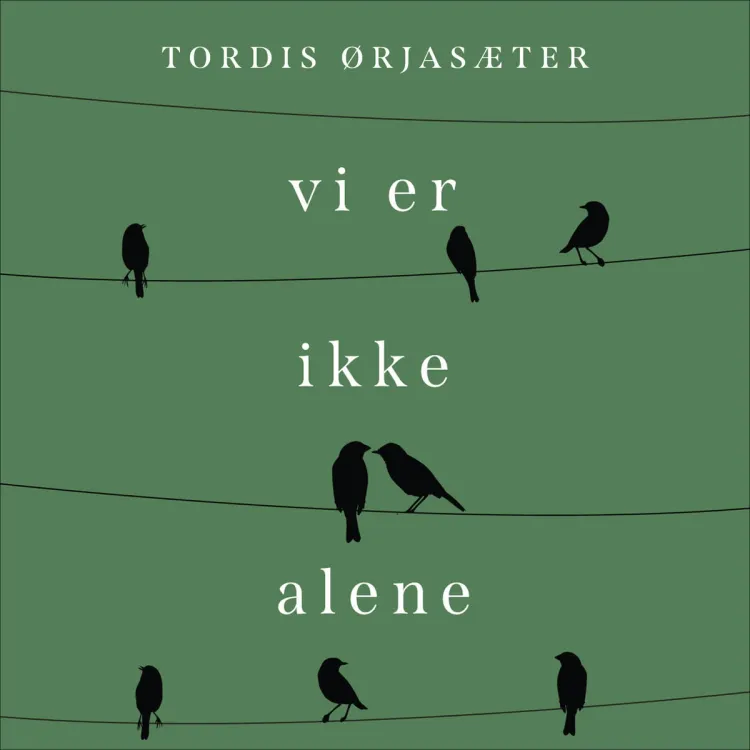 Omslag Vi er ikke alene - En personlig historie om annerledesbarnet i litteraturen av Tordis Ørjasæter (Lydbok)