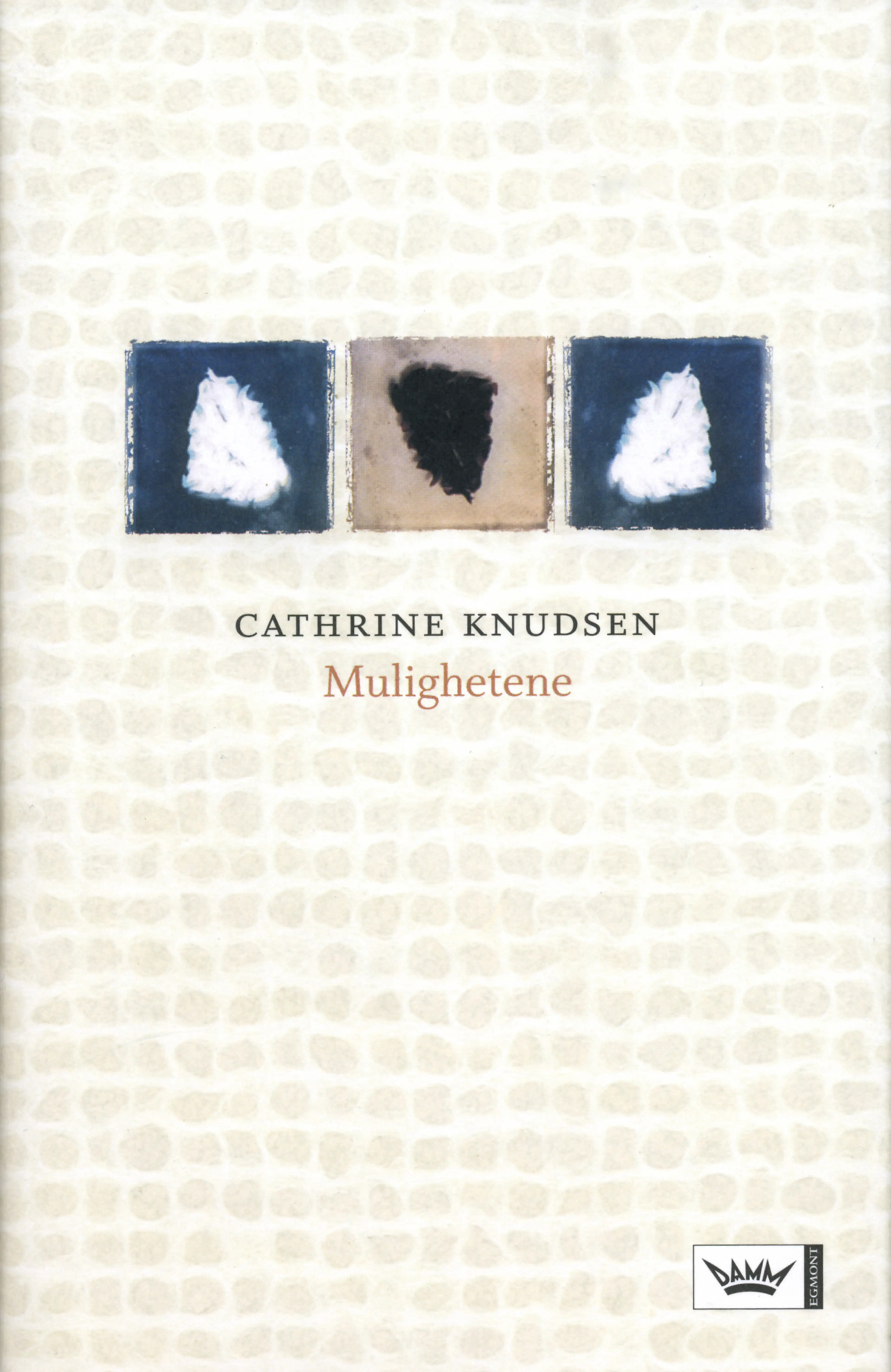 Omslag Mulighetene av Cathrine Knudsen (Ebok)