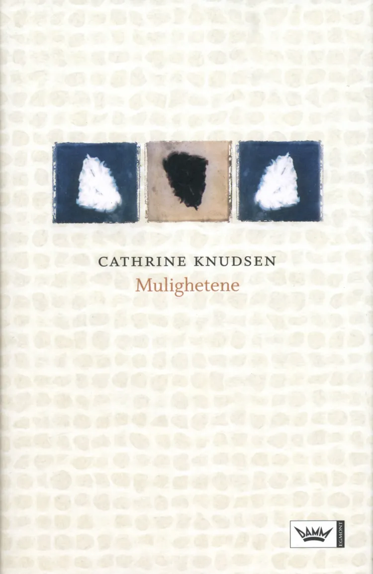 Omslag Mulighetene av Cathrine Knudsen (Ebok)