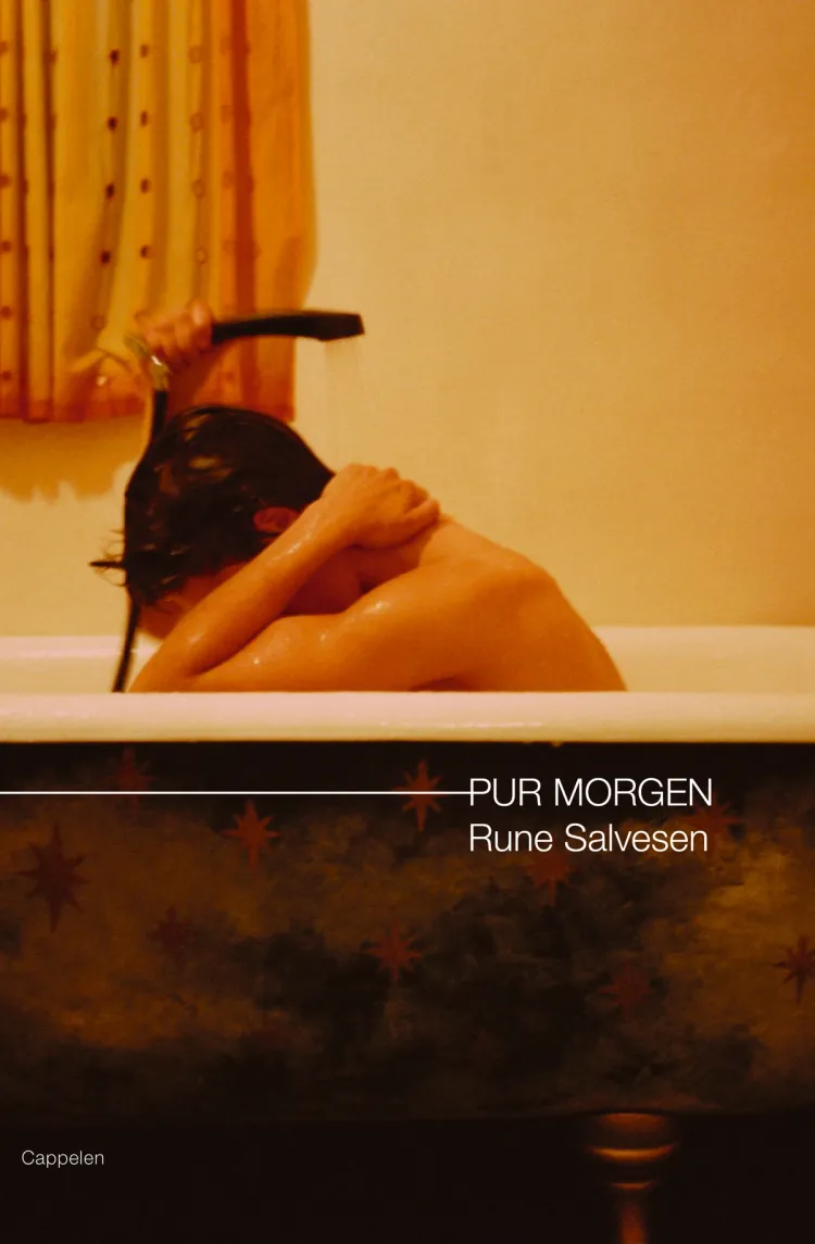 Omslag Pur morgen av Rune Salvesen (Ebok)