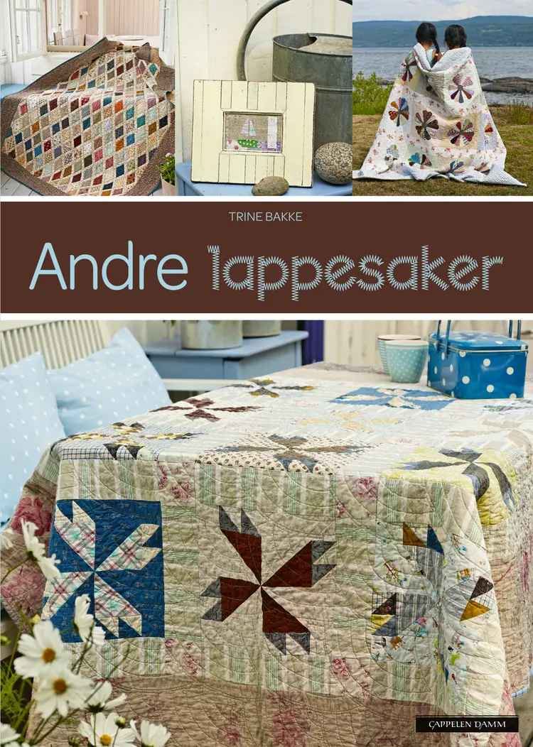 Omslag Andre lappesaker av Trine Bakke (Innbundet)