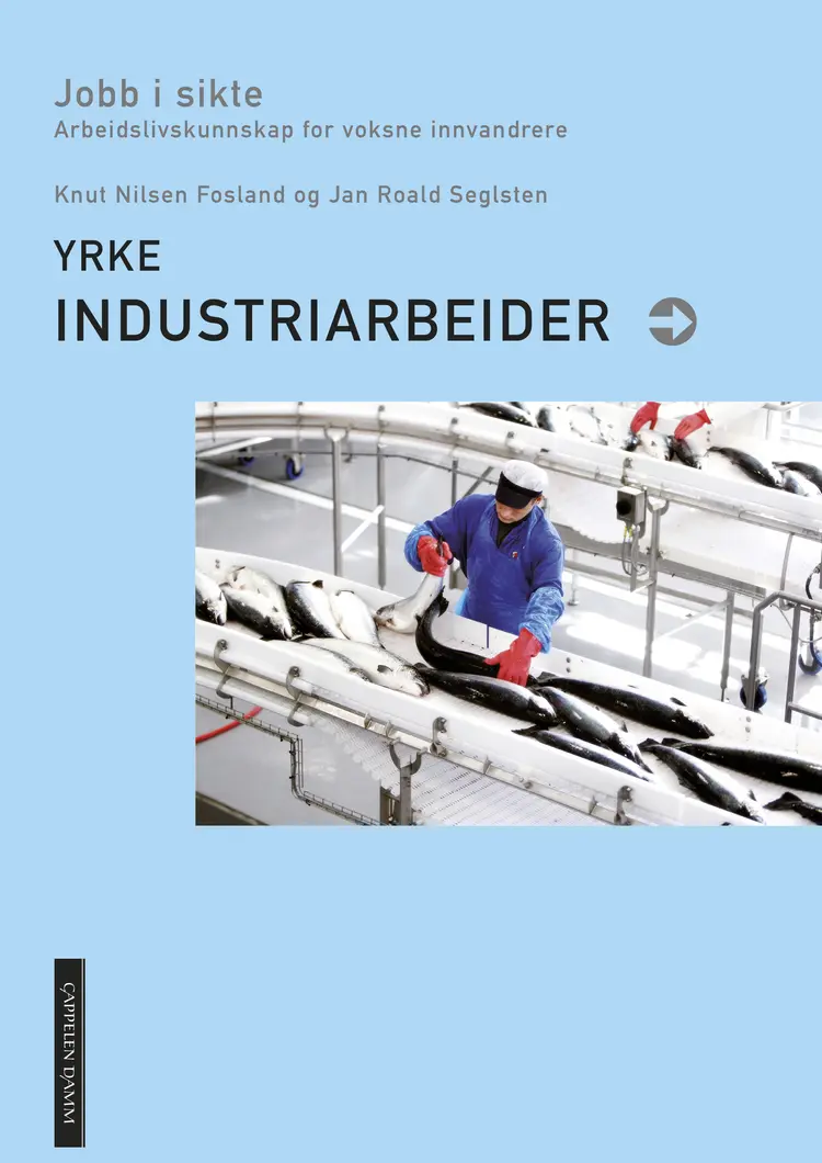 Omslag Jobb i sikte. Industriarbeider av Knut Nilsen Fosland og Jan-Roald Seglsten (Heftet)