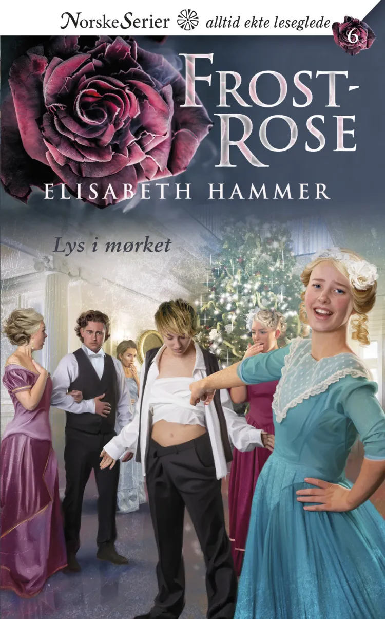 Omslag Lys i mørket av Elisabeth Hammer (Ebok)