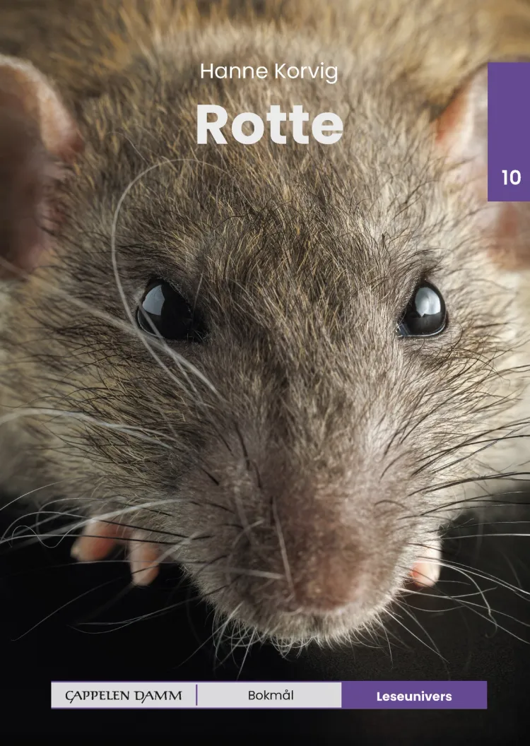 Omslag Leseunivers 10: Rotte av Hanne Korvig (Innbundet)