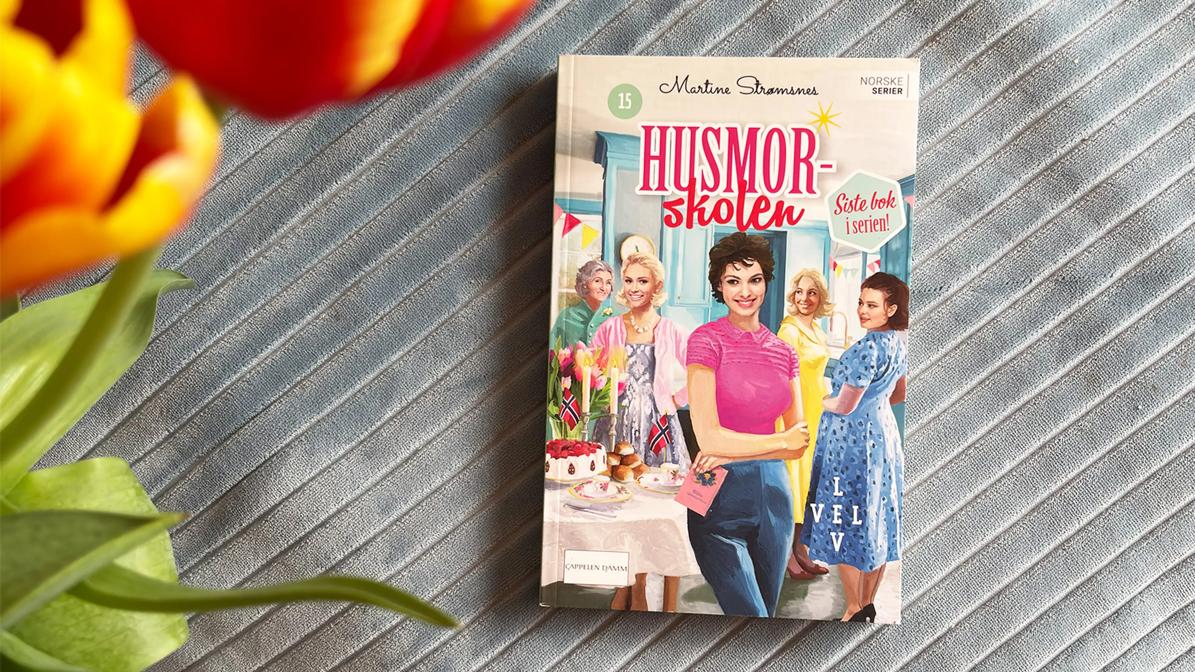Bilde av Husmorskolen 15 av Martine Strømsnes