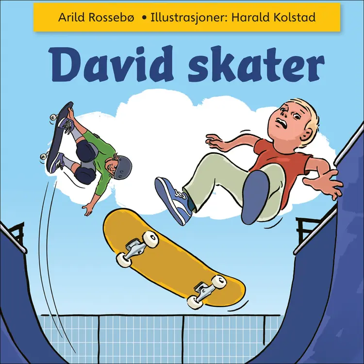 Omslag David skater av Arild Rossebø (Lydbok)