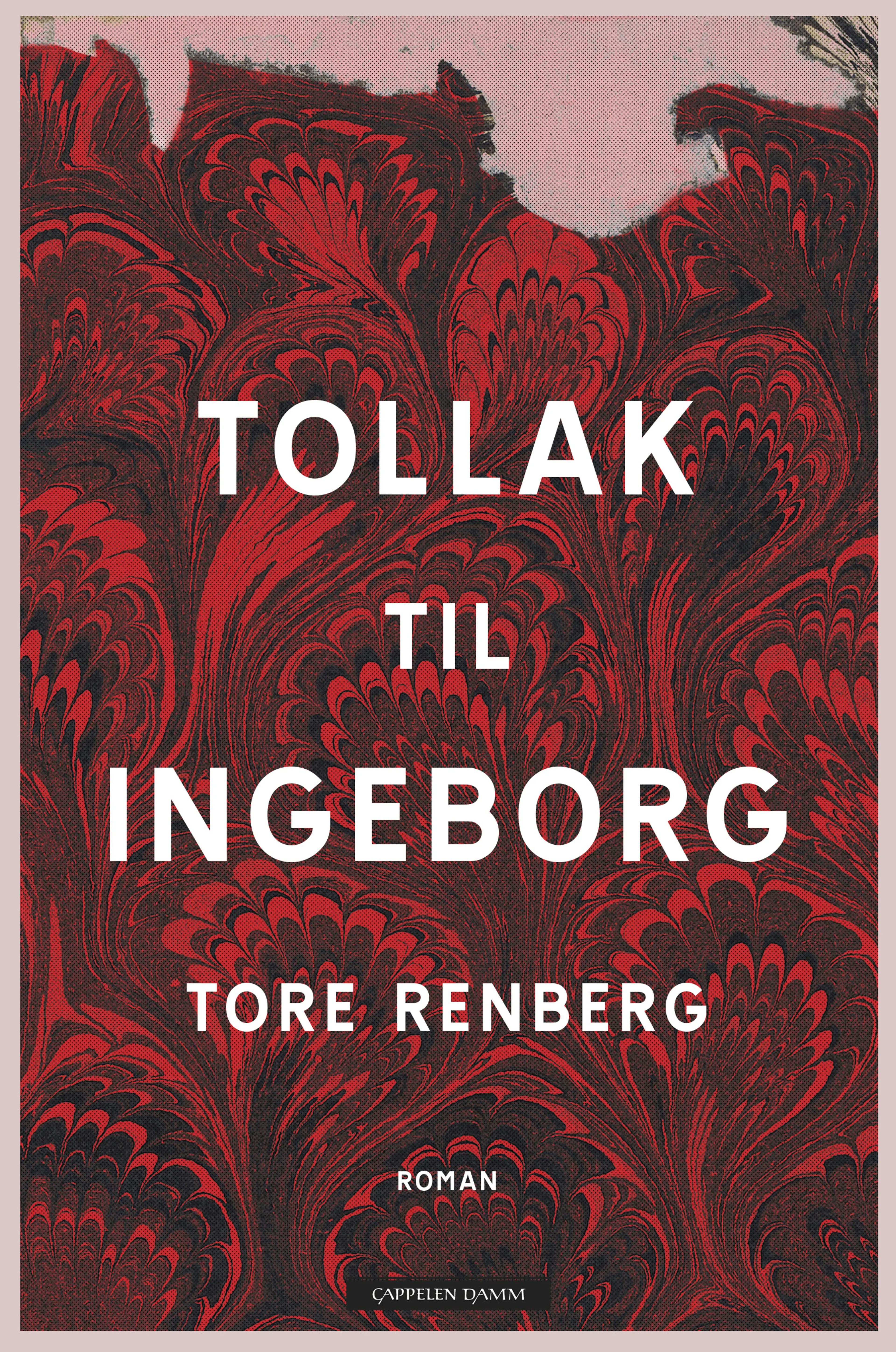 Omslag Tollak til Ingeborg av Tore Renberg (Ebok)