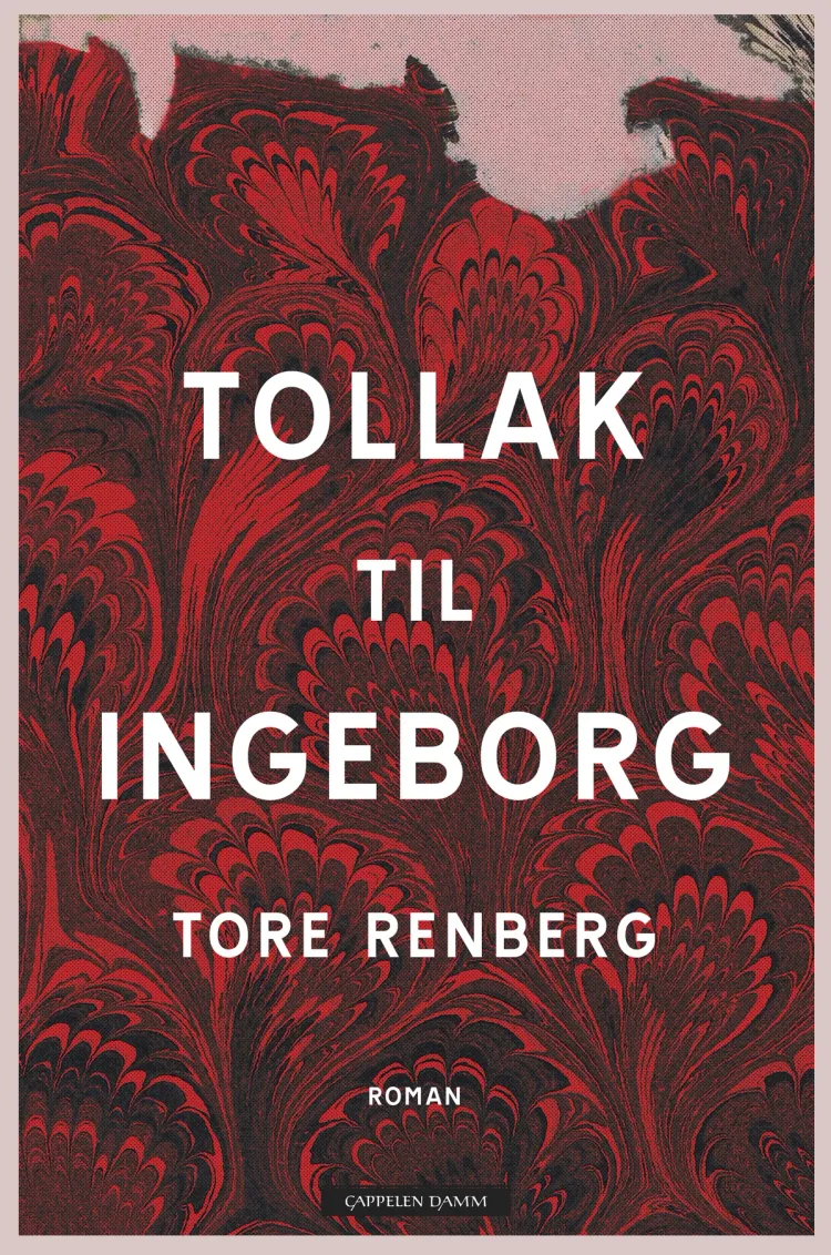 Omslag Tollak til Ingeborg av Tore Renberg (Innbundet)