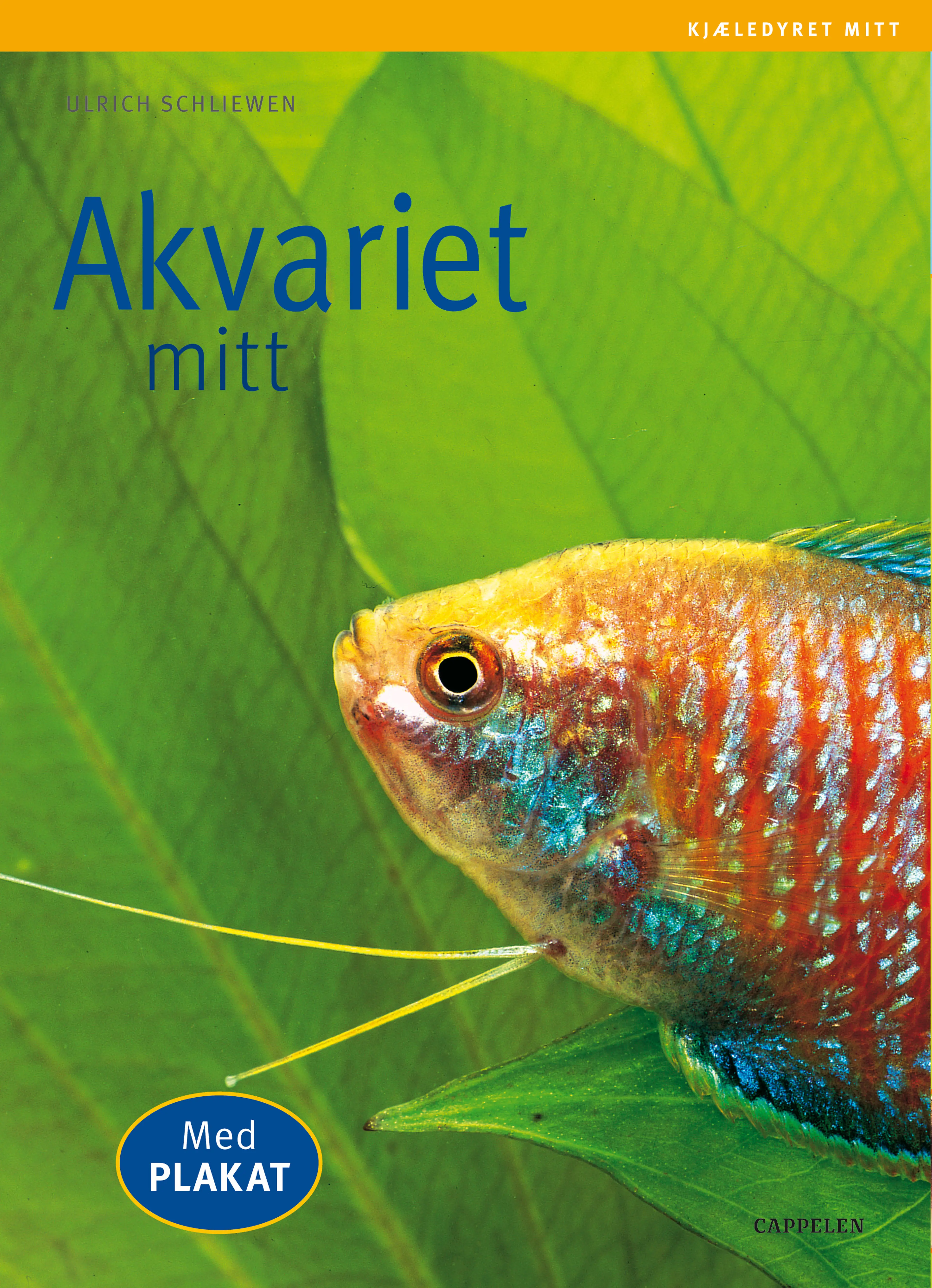 Omslag Akvariet mitt av Ulrich Schliewen (Heftet)