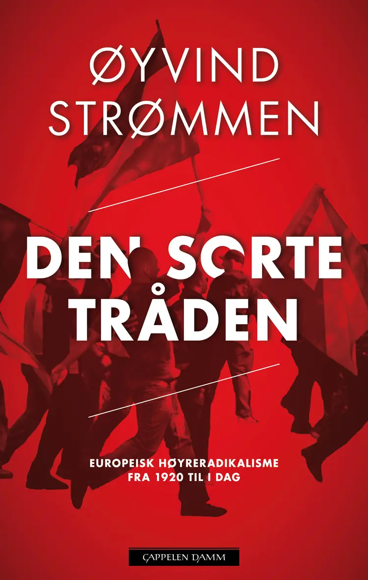 Omslag Den sorte tråden av Øyvind Strømmen (Ebok)