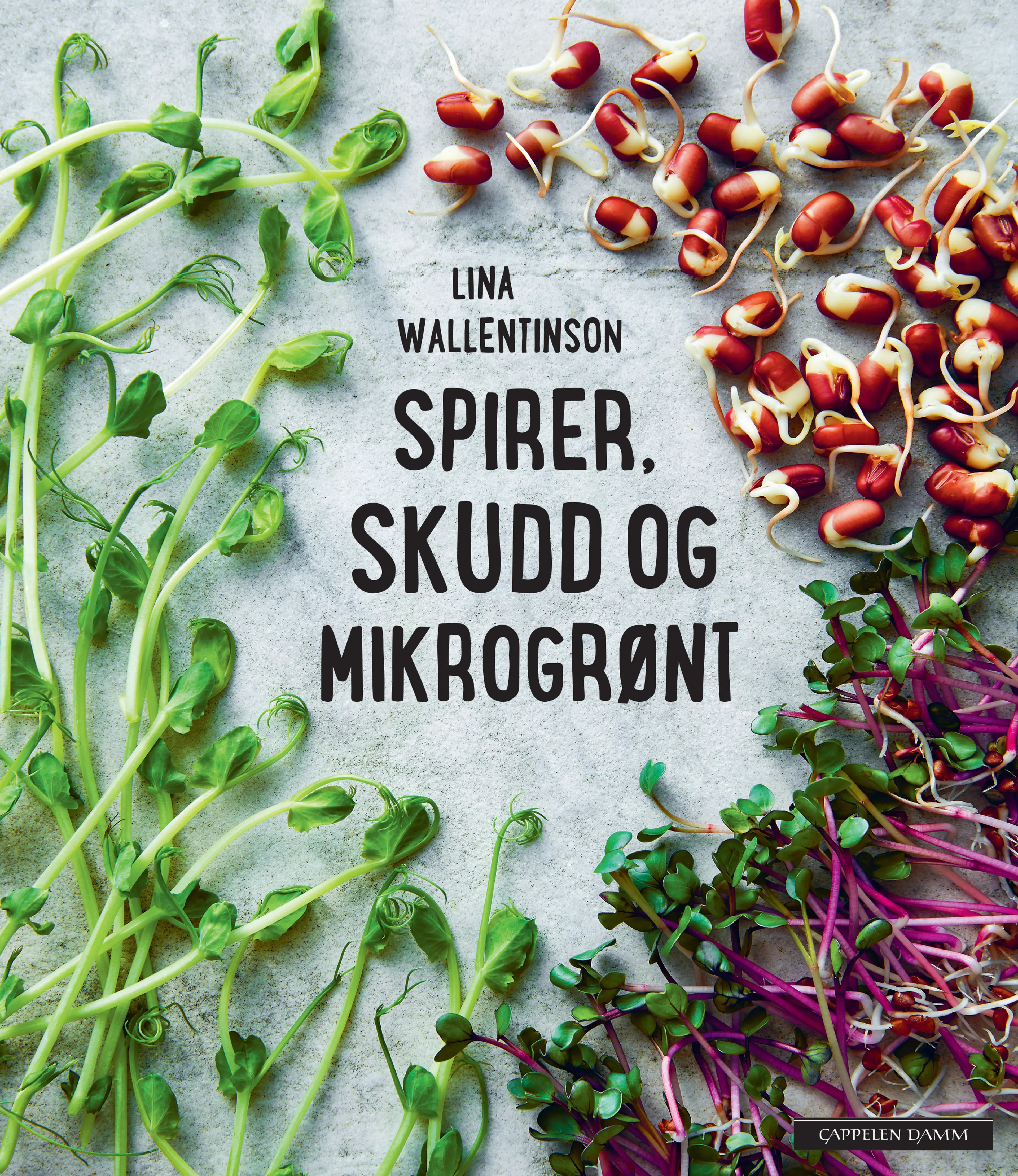 Omslag Spirer, skudd og mikrogrønt av Lina Wallentinson (Innbundet)