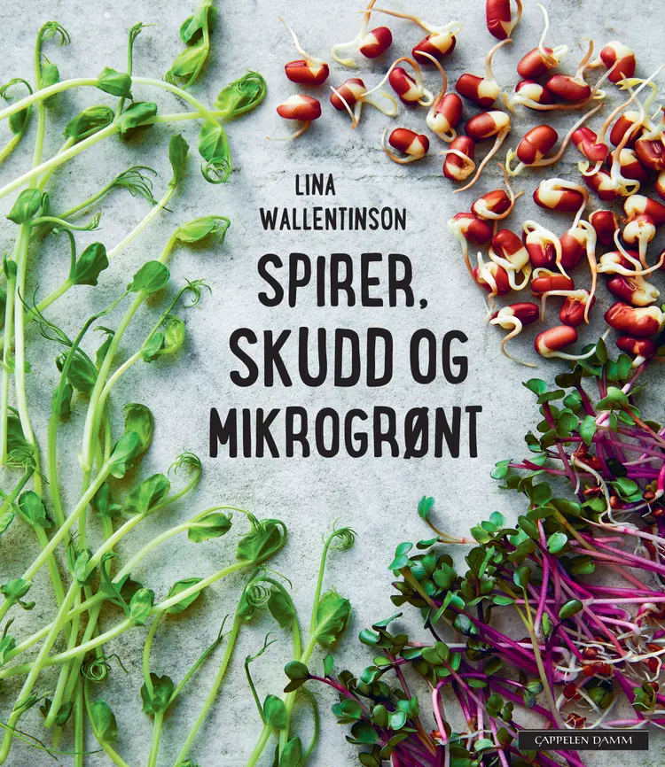 Omslag Spirer, skudd og mikrogrønt av Lina Wallentinson (Innbundet)