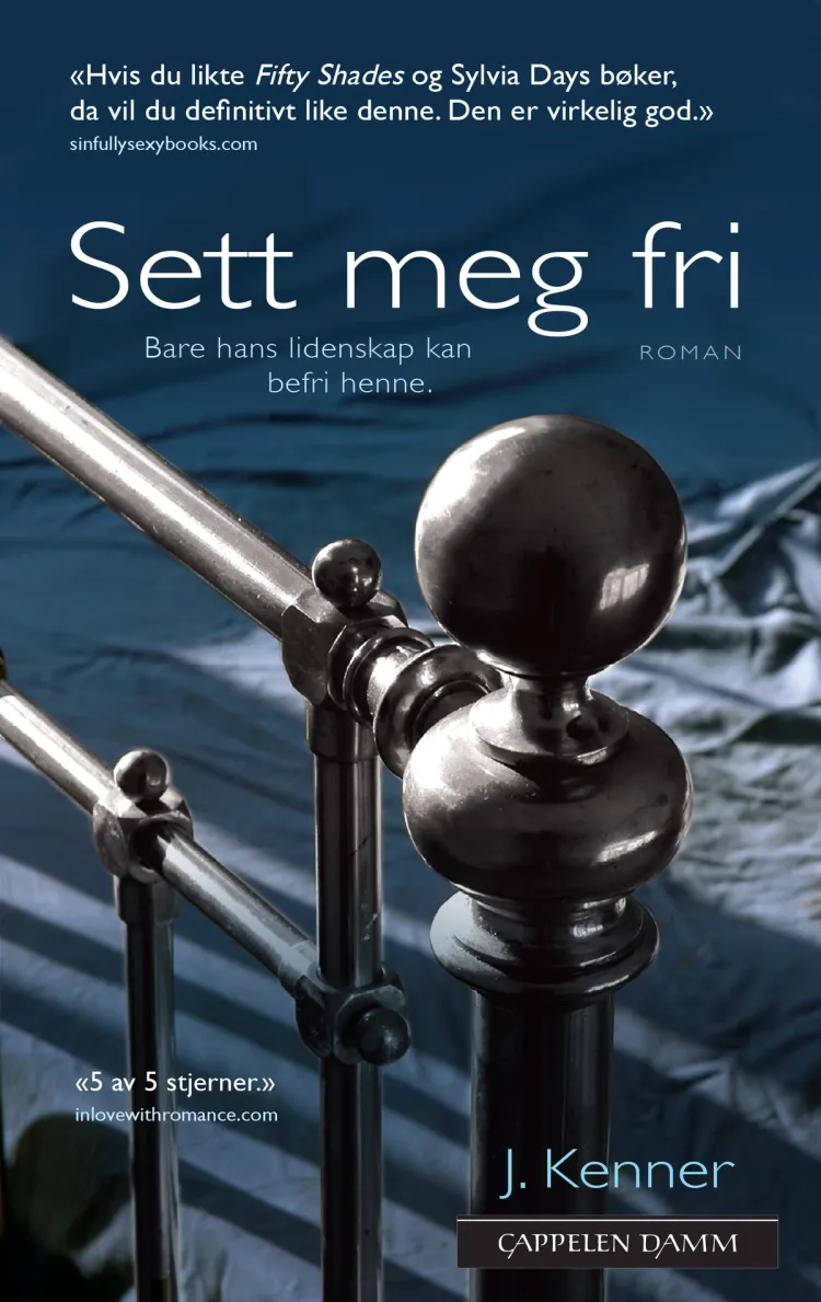 Omslag Sett meg fri av Julie Kenner (Heftet)