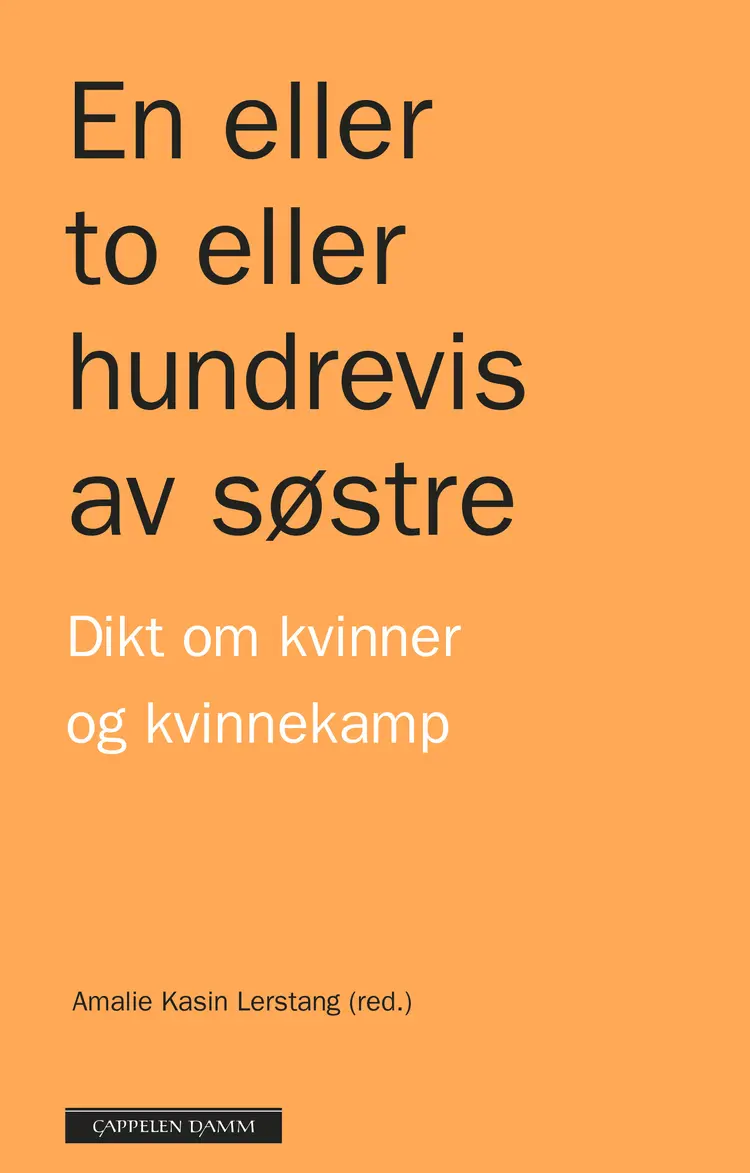 Omslag En eller to eller hundrevis av søstre av Amalie Kasin Lerstang (red.) (Innbundet)