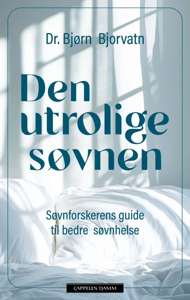 Omslag Den utrolige søvnen av Bjørn Bjorvatn (Innbundet)
