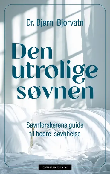 Omslag Den utrolige søvnen av Bjørn Bjorvatn (Innbundet)