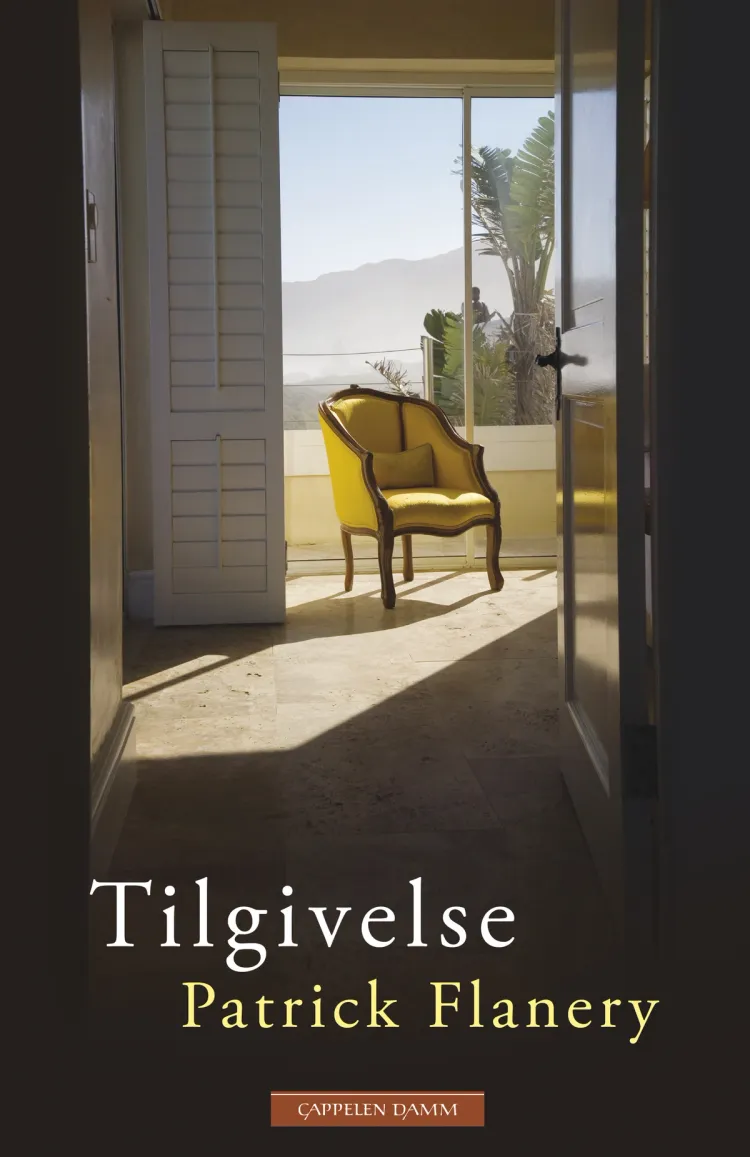Omslag Tilgivelse av Patrick Flanery (Innbundet)