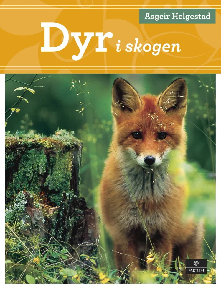 Omslag Dyr i skogen av Asgeir Helgestad (Innbundet)