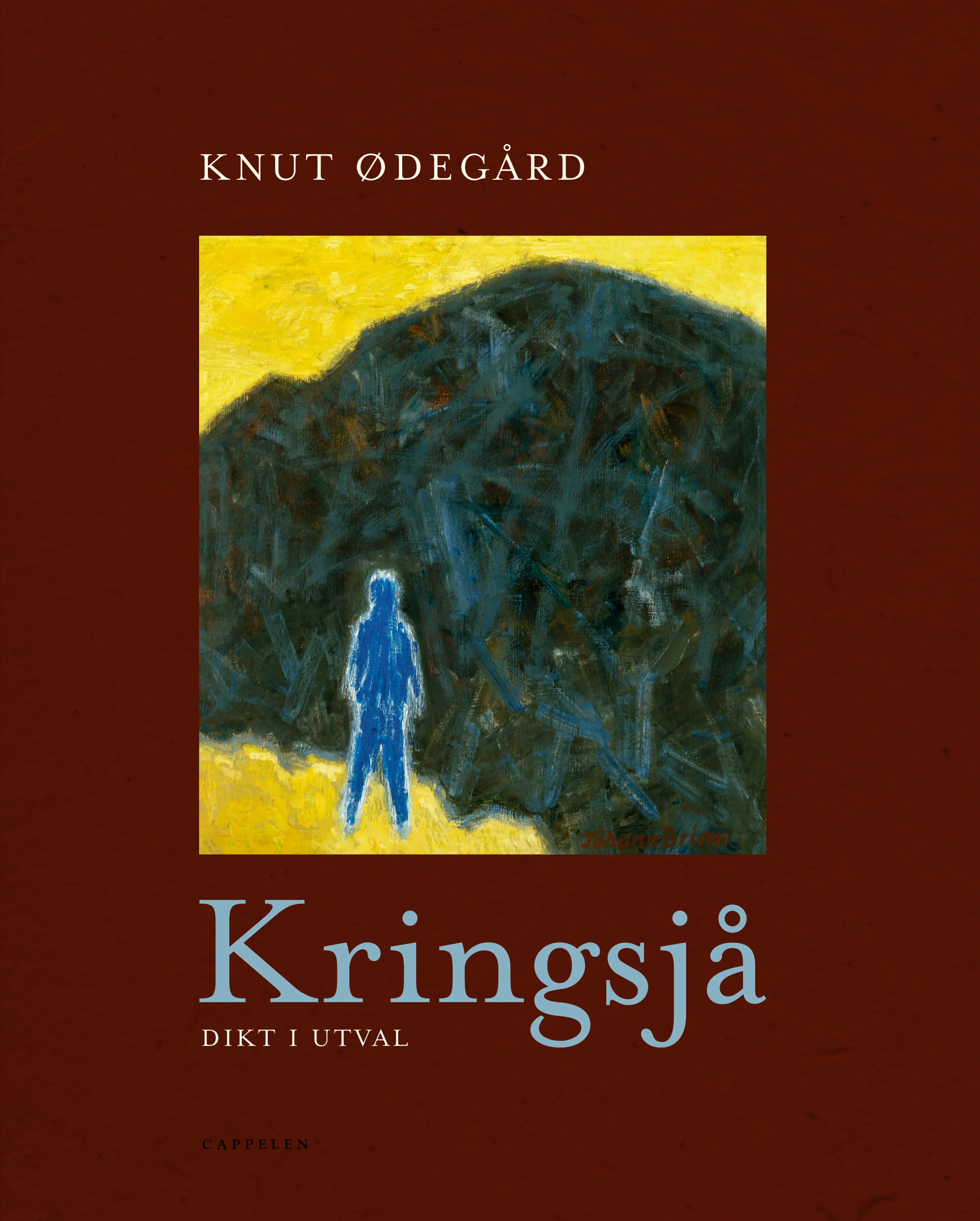 Omslag Kringsjå av Knut Ødegård (Innbundet)