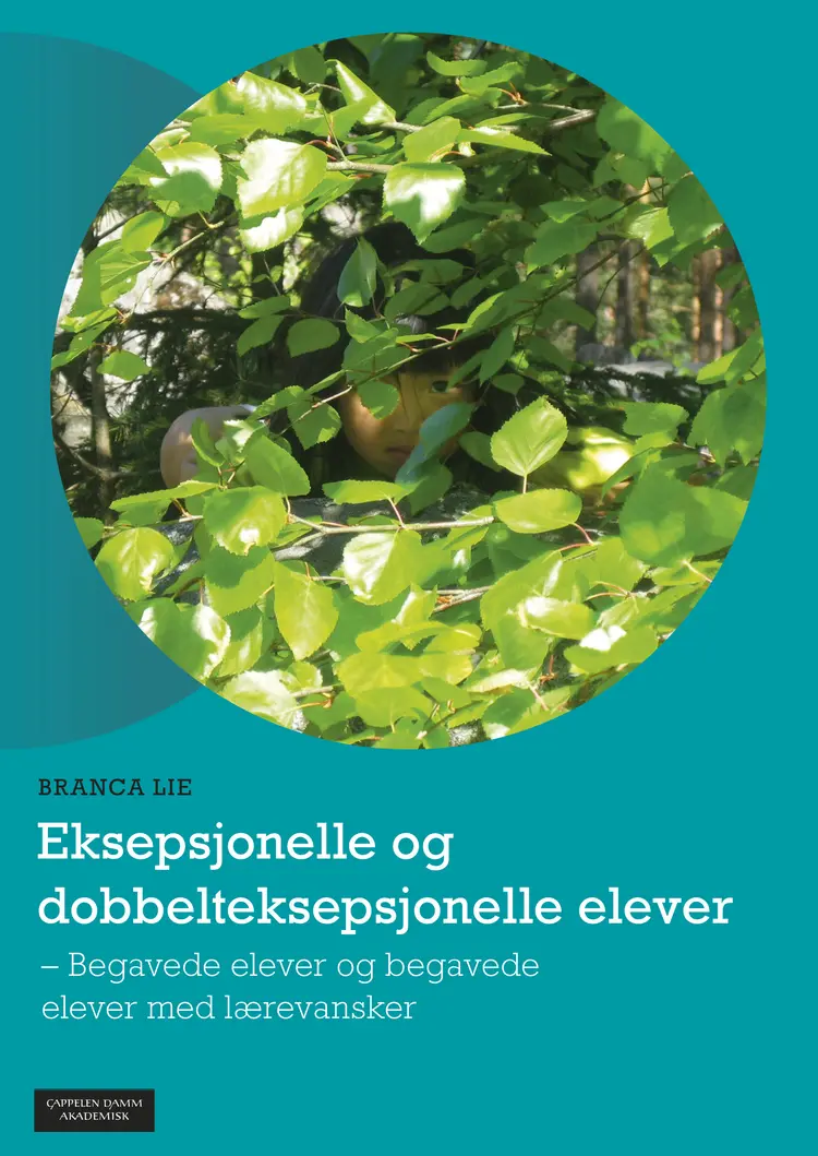 Omslag Eksepsjonelle og dobbelteksepsjonelle elever av Branca Lie (Ebok)