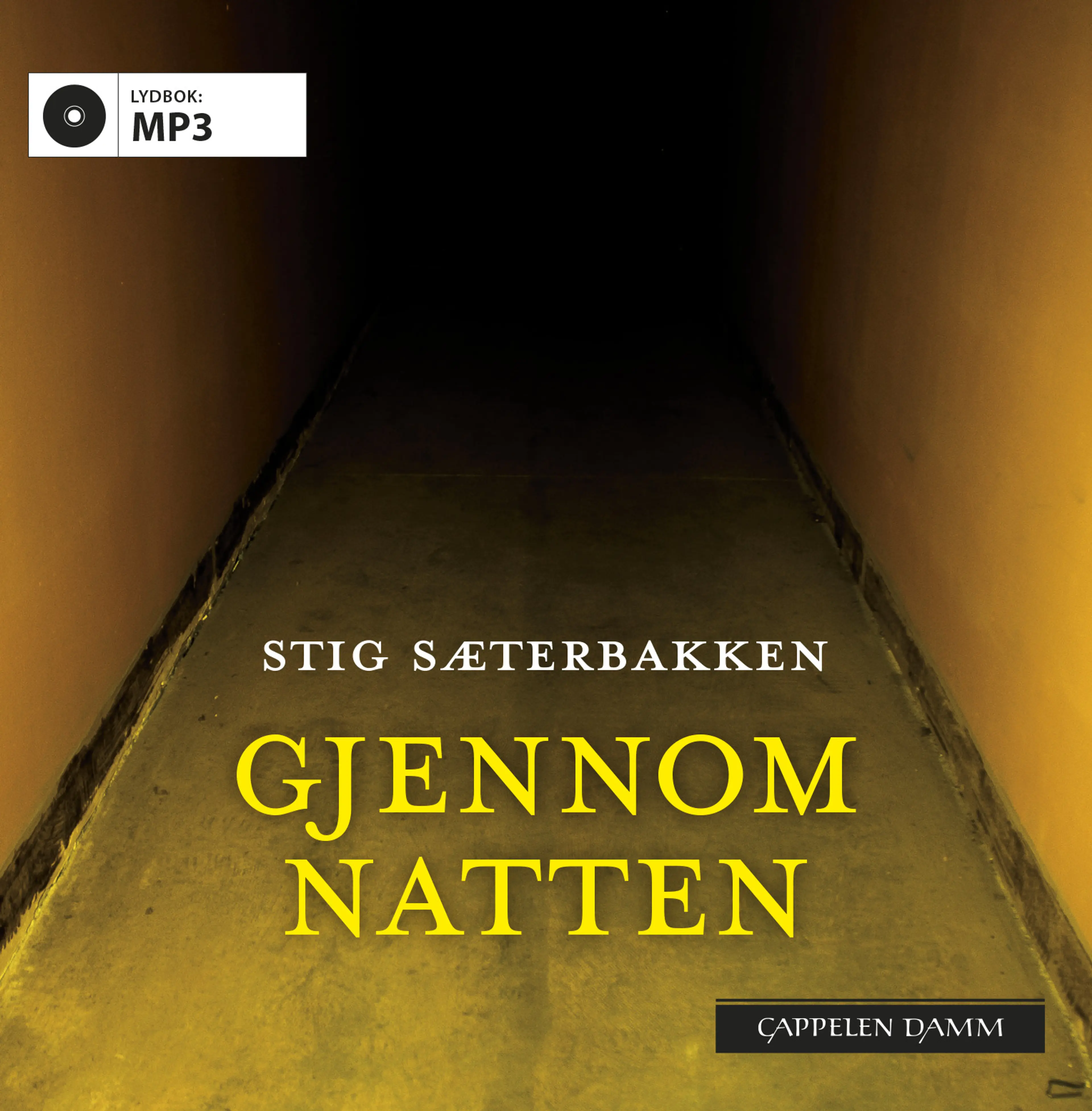 Omslag Gjennom natten av Stig Sæterbakken (Lydbok)