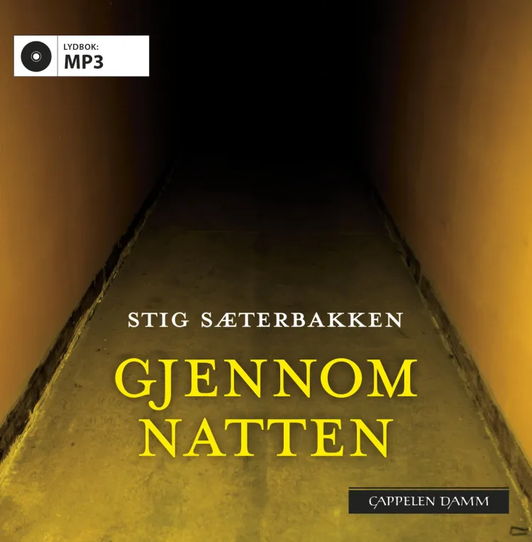 Omslag Gjennom natten av Stig Sæterbakken (Lydbok)