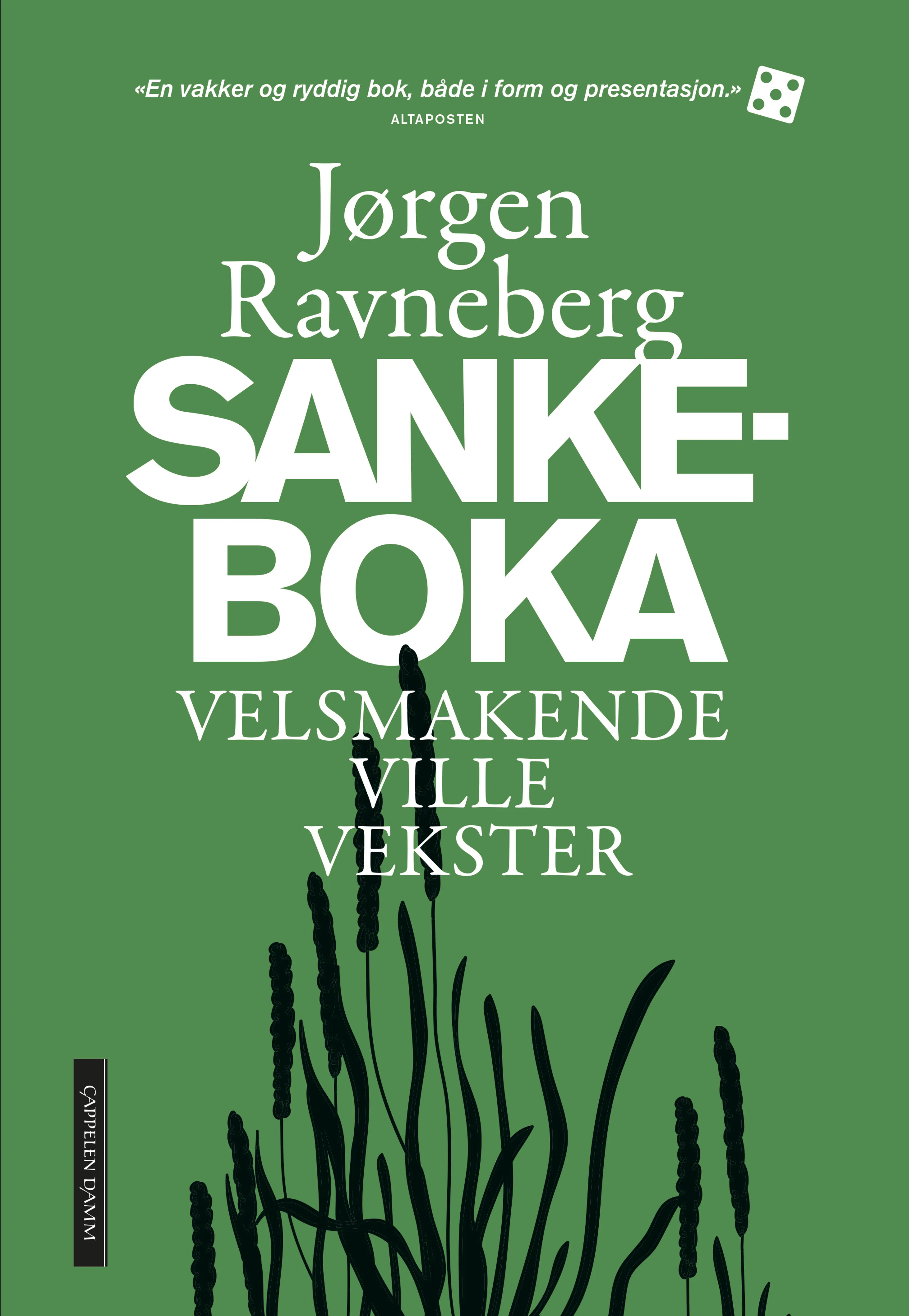 Omslag Sankeboka av Jørgen Ravneberg (Innbundet)